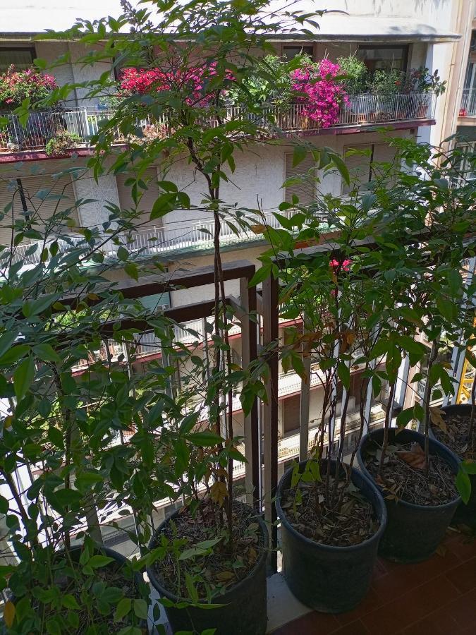 Gianna House Apartment บารี ภายนอก รูปภาพ